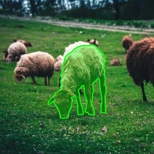 Foreground sheep selected with a green mask in a pasture