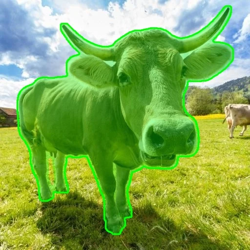 Foreground cow selected with a green mask